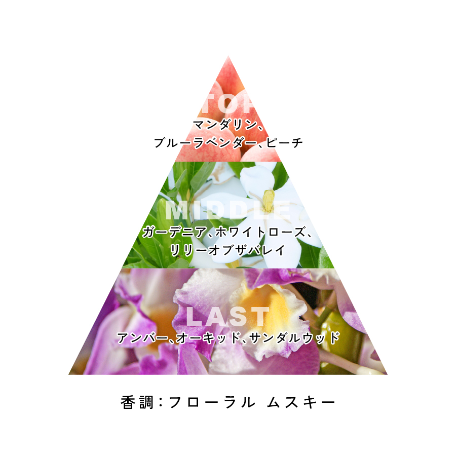 マグニフィカ オードパルファム